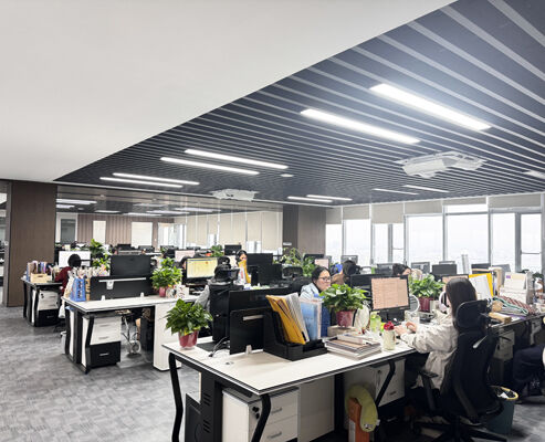 CHINA SONSILL HOLDING Perfil de la compañía